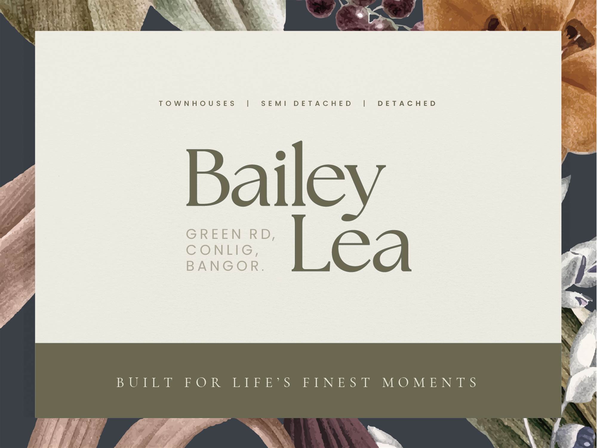 Bailey Lea